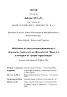 Cover for ModÃ©lisation des structures nano-plasmoniques et photoniques. Applications aux phÃ©nomÃ¨nes de filtrage et Ã  la conception de capteurs bioplasmoniques